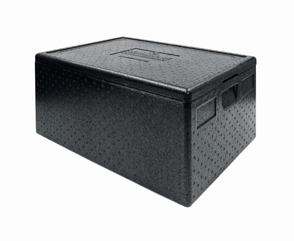 Schneider TOP-BOX 40 x 60, contenuto: 53 litri, dimensioni esterne: 685 x 485 x 260 mm, dimensioni interne: 625 x 425 x 200 mm, 640260