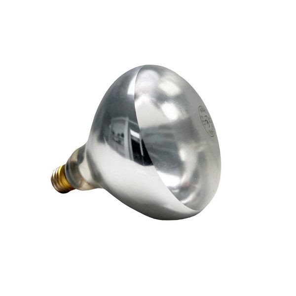 Lampadina di ricambio APS per lampada riscaldante, E27, bianco caldo, 250 W, Ø 12,5 cm, 12266
