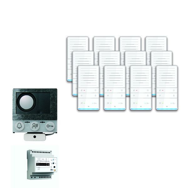Sistema di controllo porte TCS audio: installazione pack per 12 unità abitative, con altoparlante incorporato ASI12000, vivavoce 12x ISW5031, centrale BVS20, PAIF120 / 002