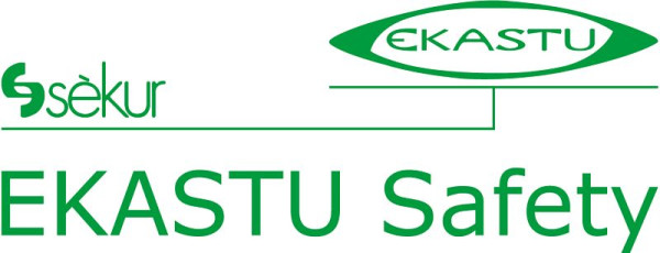EKASTU Safety per P4-PLUS, 647172