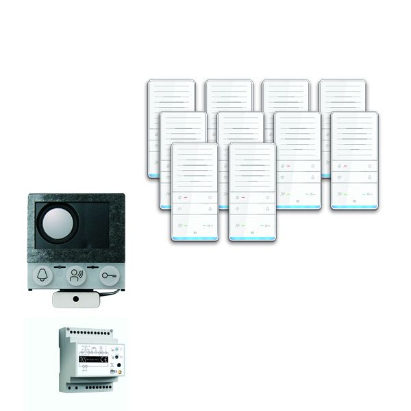 TCS comando porta audio: pack installazione per 10 unità abitative, con altoparlante integrato ASI12000, 10x vivavoce ISW5031, centrale BVS20, PAIF100 / 002
