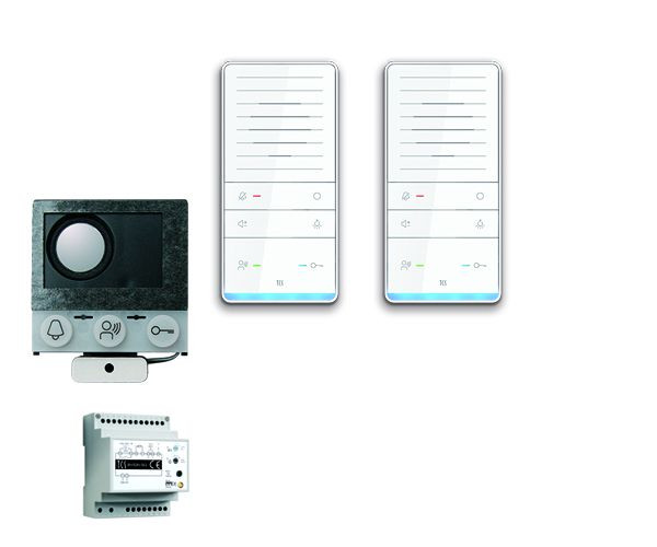 TCS comando porta audio: pack installazione per 2 unità abitative, con altoparlante integrato ASI12000, 2x vivavoce ISW5031, centrale BVS20, PAIF020 / 002