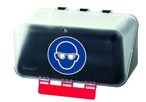 Mini scatola DENIOS per conservare la protezione degli occhi, trasparente, 116-476