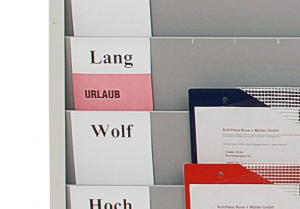 Schede Eichner per pianificatori di officina, rosa, stampa: ferie/malati, UI: 10 pezzi, 9016-00138