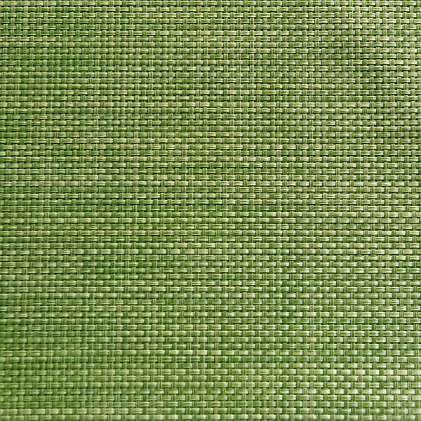 Tovaglietta APS - verde mela, 45 x 33 cm, PVC, banda stretta, conf. da 6, 60521