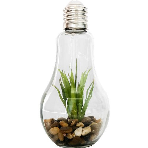 Lampada decorativa in vetro Technoline con pietre e piante, 775783