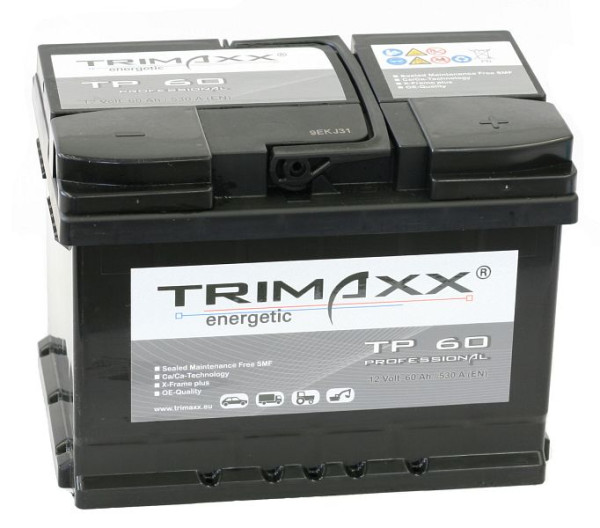 IBH TRIMAXX energico &quot;Professional&quot; TP60 per batteria di avviamento, 108 009200 20