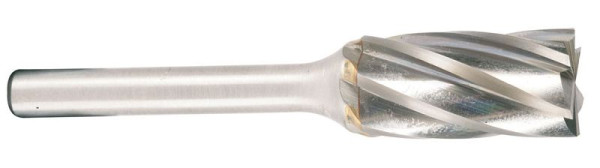 Fresa Projahn in metallo duro forma B cilindro con dentatura frontale d1 6,0 mm, diametro gambo 6,0 mm, dentatura rapida, 700236060