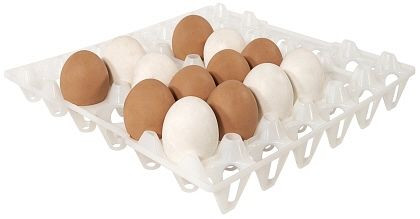 Vassoio Contacto per 30 uova, bianco, 8034/030