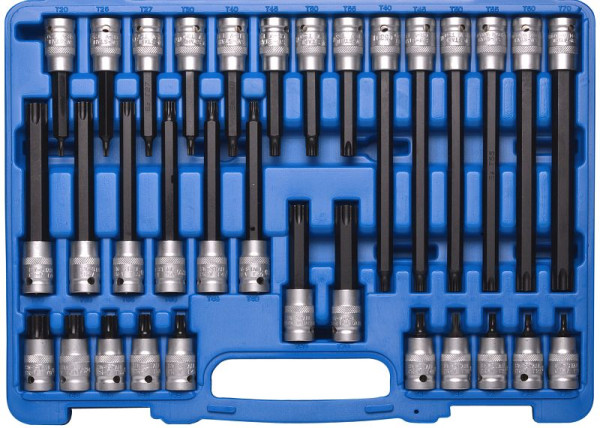 Inserti cacciavite SW in acciaio, 1/2", profilo a T, T20-T70, 32 pezzi, 04423L