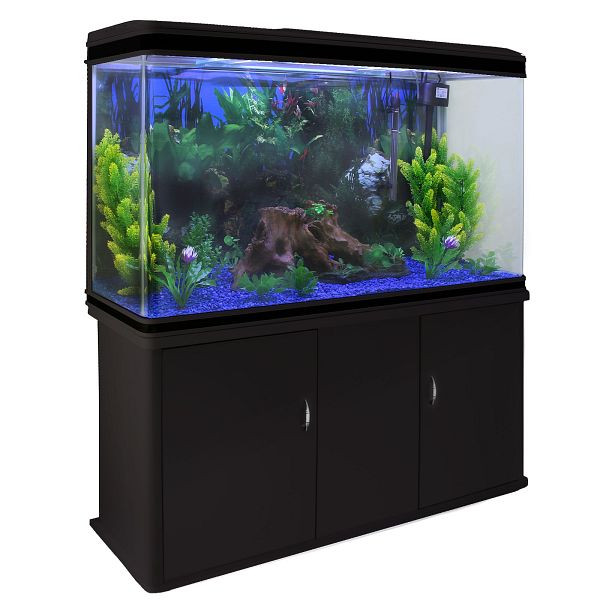 Monster 300 L Set completo per acquario nero con ghiaia blu 25178  favorevole acquista online: vasta gamma di prezzi convenienti