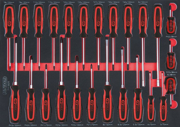 KS Tools Set di cacciaviti SCS ERGOTORQUEplus, 25 pezzi nell'inserto di sistema 1/1, 711.0025