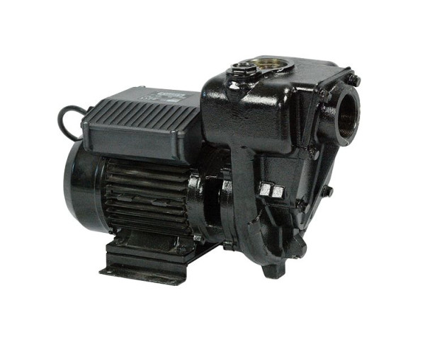 Pompa diesel ZUWA E 300, 2580 giri/min, 230 V, senza cavo e spina, P32100